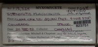 Image Associated With the Occurence